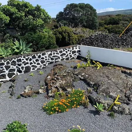 Casa Dos Oceanfront *